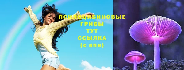 твердый Белоозёрский