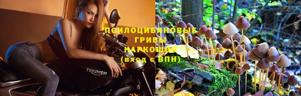 амф Беломорск