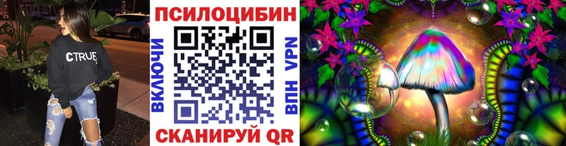 маркетплейс какой сайт  Няндома  Галлюциногенные грибы Psilocybine cubensis  даркнет сайт 